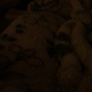 Meet your Posher, Trisha